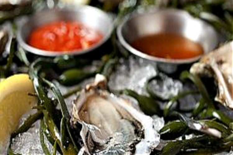 Oyster Dressing Recipe