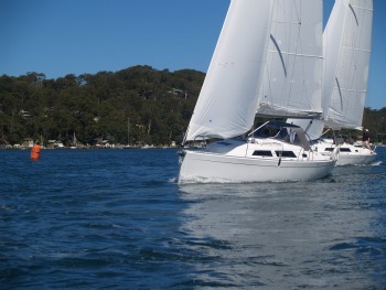 hanse-325-and-355-on-pittwater.jpg