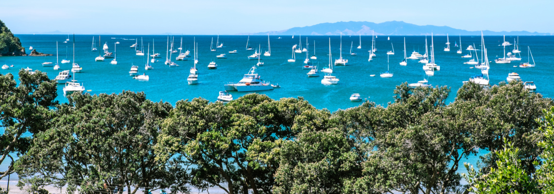 Boat Dealers in New Zealand