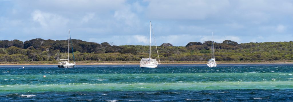 Boat Dealers in South Australia SA