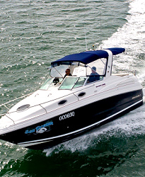 Mustang Boats for Sale in Australia and New Zealand